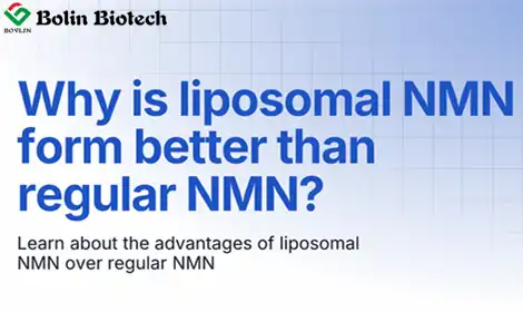 How Liposomal NMN Improves NMN Stability and Absorption?